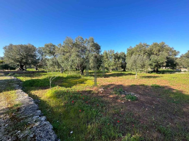 Trullo a Ostuni