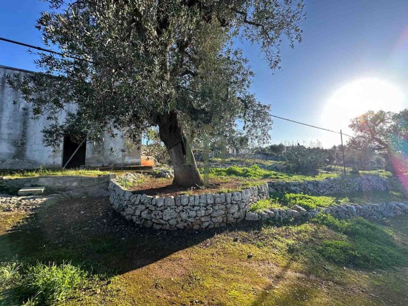 Landwirtschaftliche Fläche in Ostuni