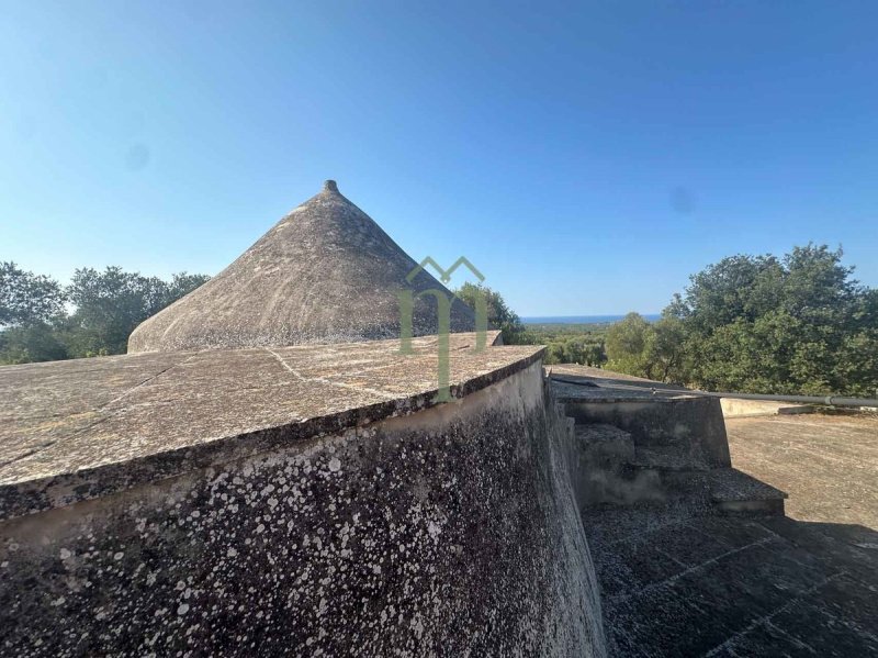 Trullo (Rundhaus) in Ostuni