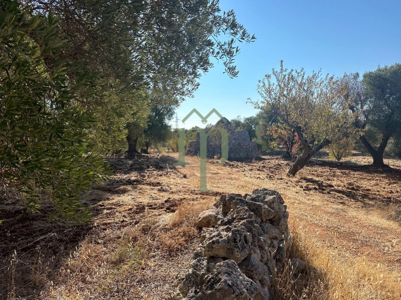 Trullo i Carovigno