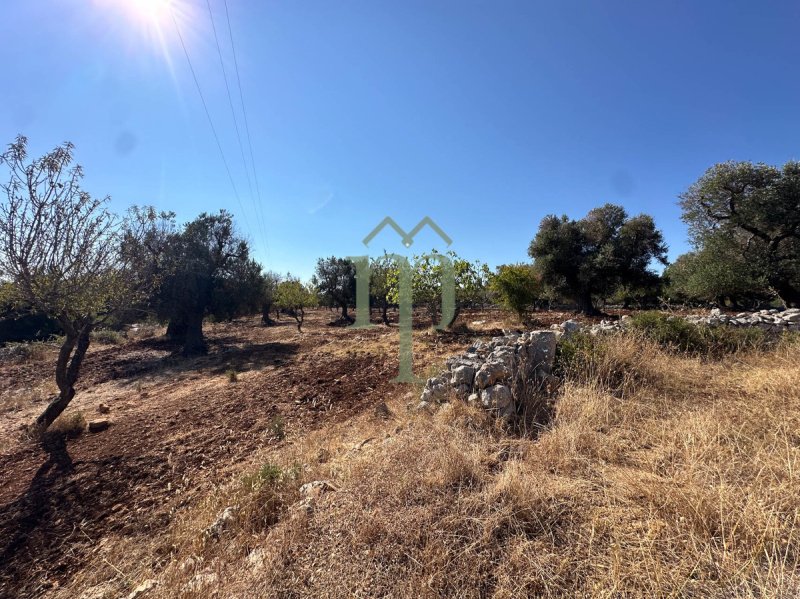 Trullo (Rundhaus) in Carovigno