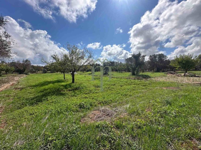 Trullo a San Vito dei Normanni