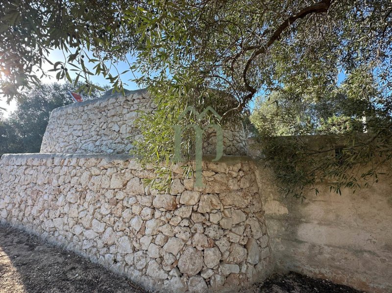 Trullo (Rundhaus) in Carovigno