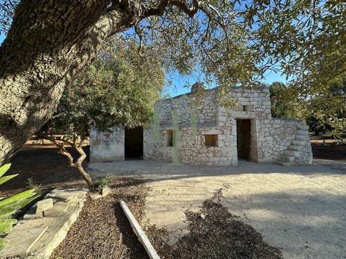 Trullo (Rundhaus) in Carovigno