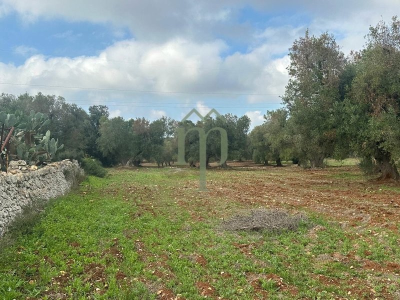 Terreno agricolo a Carovigno