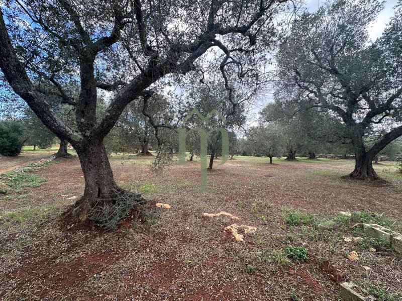 Trullo en Ceglie Messapica