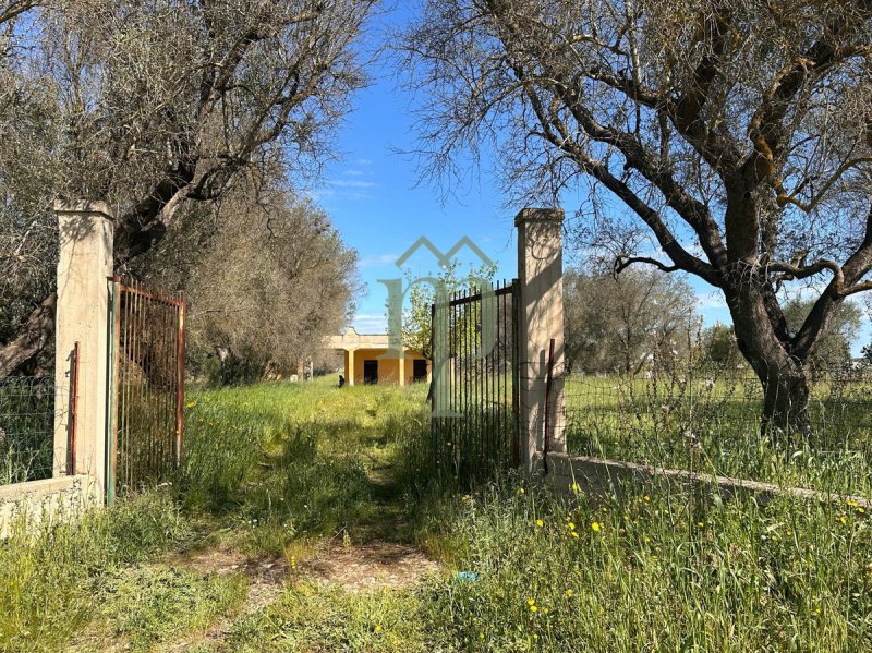 Сельский дом в Франкавилла-Фонтана