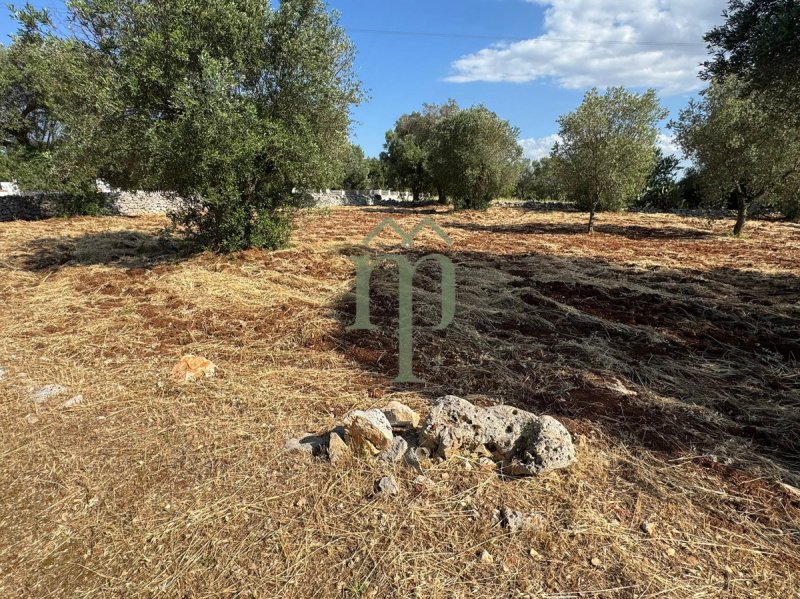 Terreno para construção em Carovigno