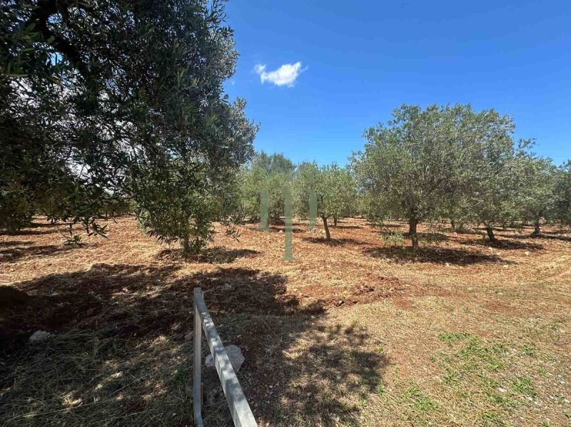 Terreno para construção em Carovigno