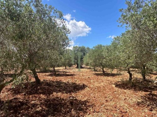 Terreno para construção em Carovigno