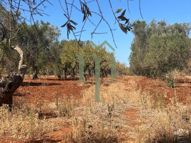 Terreno para construção em San Vito dei Normanni