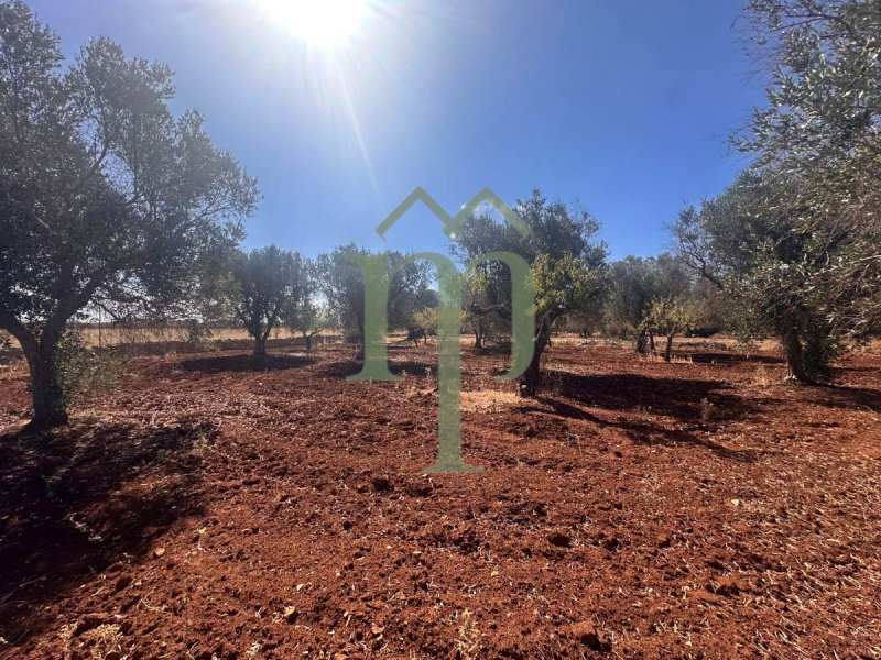 Terreno edificabile a San Vito dei Normanni
