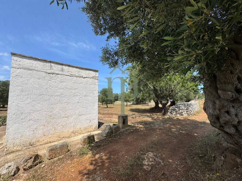 卡罗维尼奥拉米亚