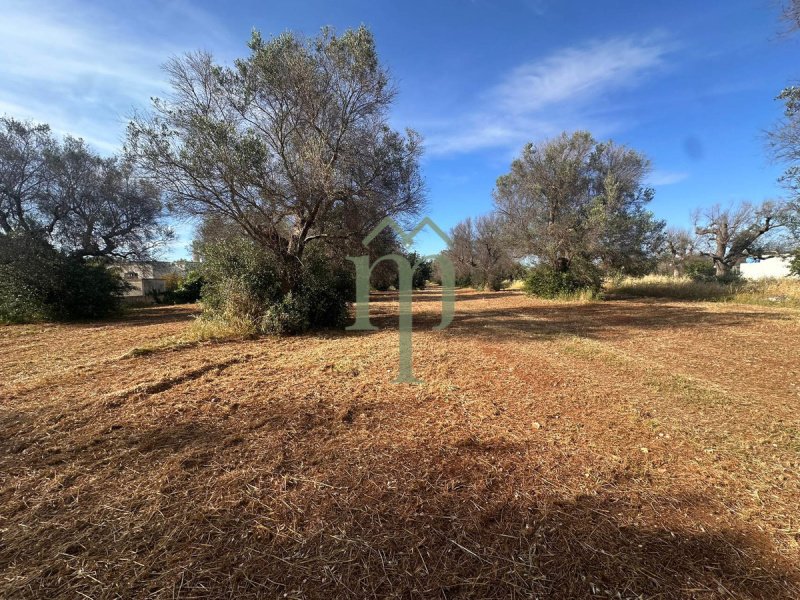 Terrain à bâtir à San Vito dei Normanni