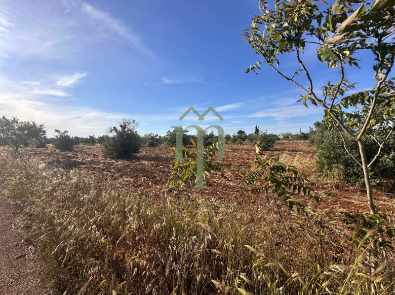 Terrain à bâtir à Brindisi