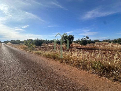 Terreno para construção em Brindisi
