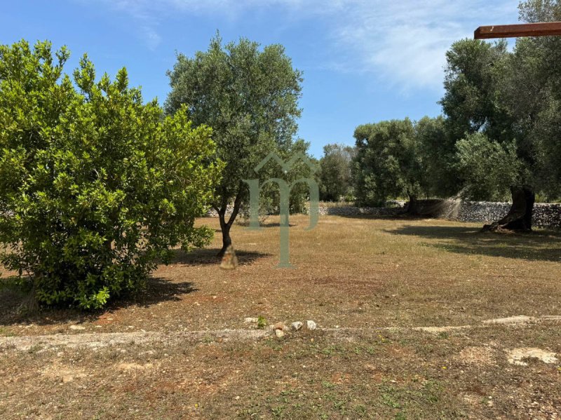 Building plot in Carovigno