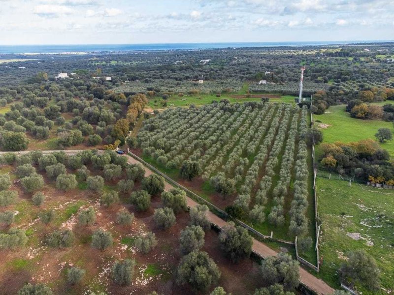 Terrain à bâtir à Carovigno