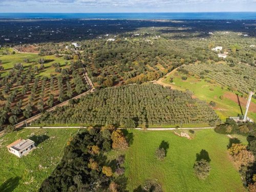 Terreno para construção em Carovigno