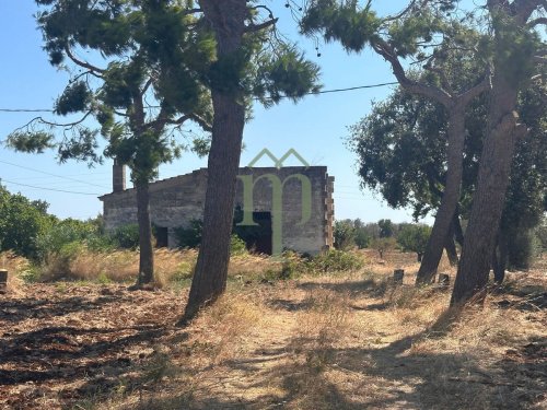 卡罗维尼奥农舍