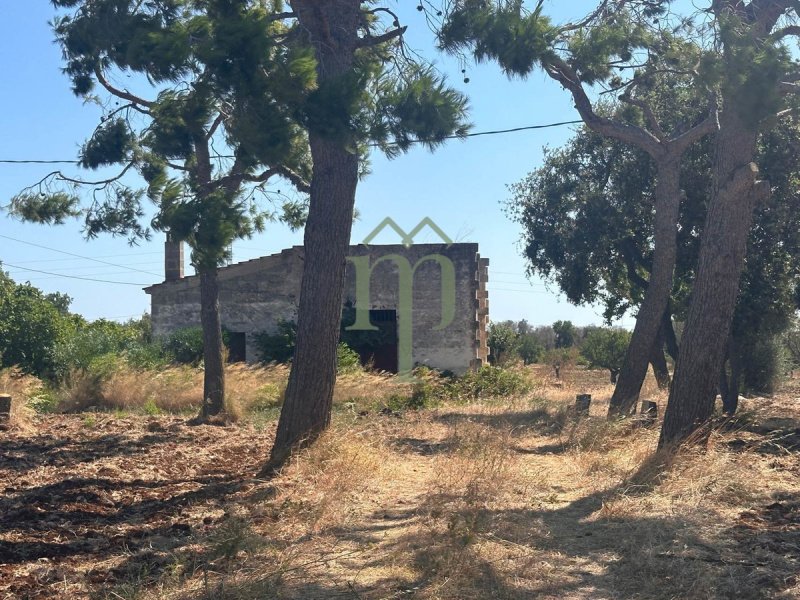 Casolare a Carovigno