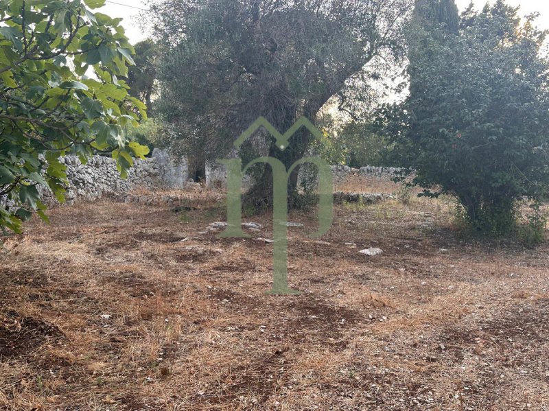 Terreno para construção em Carovigno