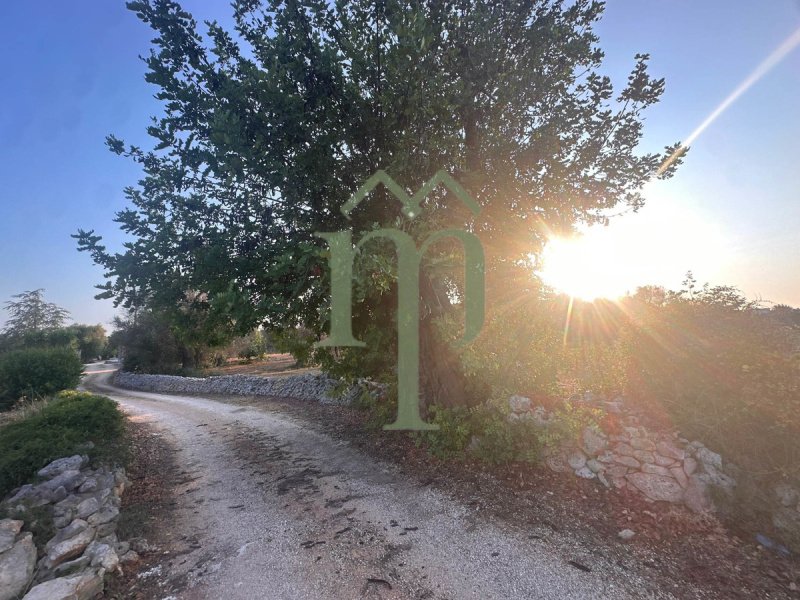 Terreno para construção em Carovigno