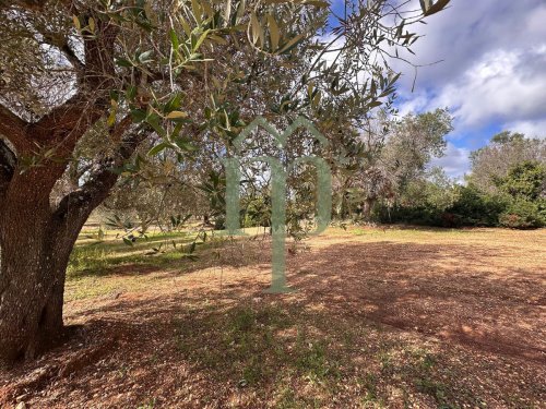 Terreno edificabile a San Vito dei Normanni