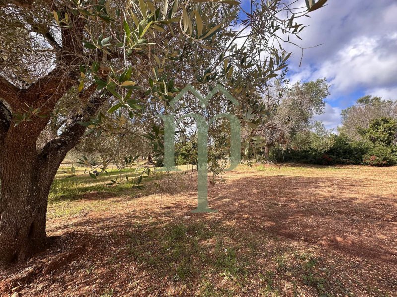 Building plot in San Vito dei Normanni