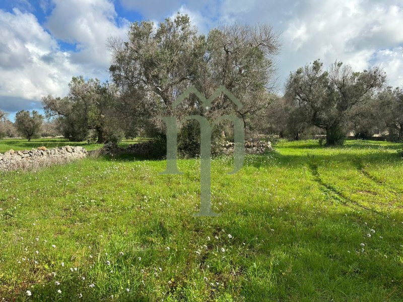 Terreno edificable en San Vito dei Normanni