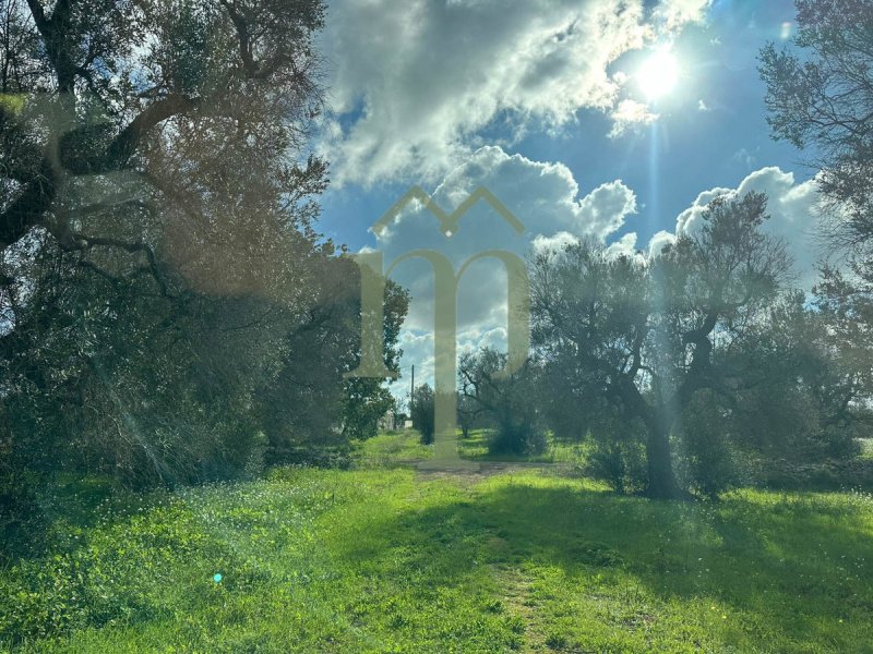 Building plot for sale in San Vito Dei Normanni [794296] | Gate-away®