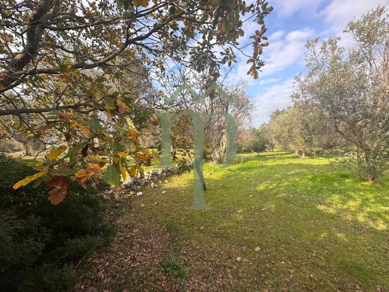 Land in San Vito dei Normanni