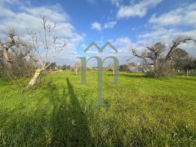 Building plot in San Vito dei Normanni