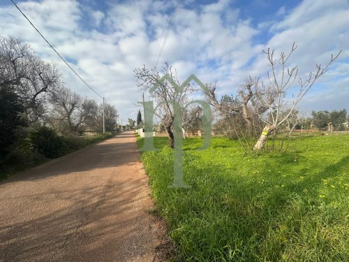 圣维托-代诺尔曼尼建筑用地