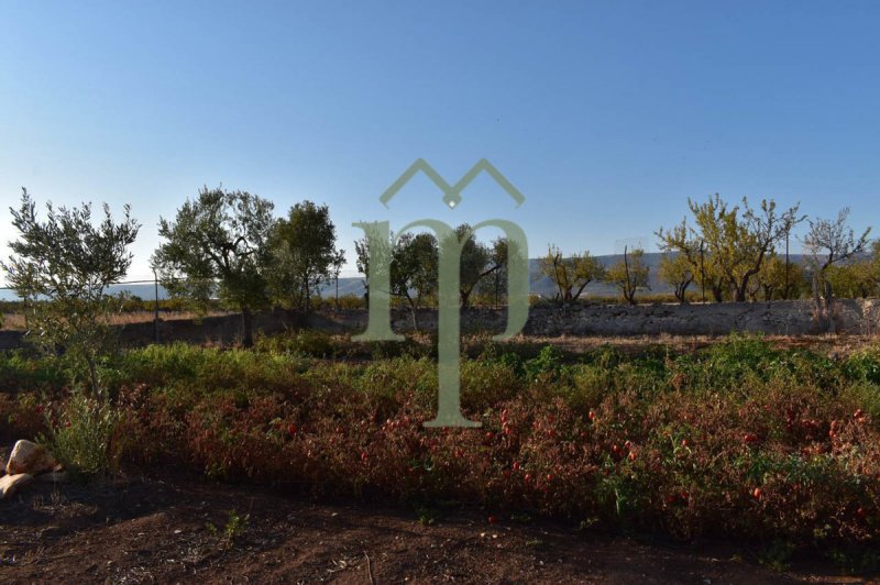 圣乔瓦尼-罗通多农舍