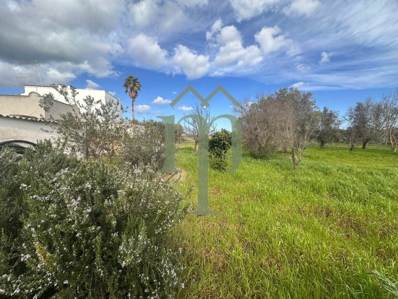 Casa de campo em San Vito dei Normanni