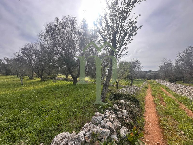 Trullo i Carovigno