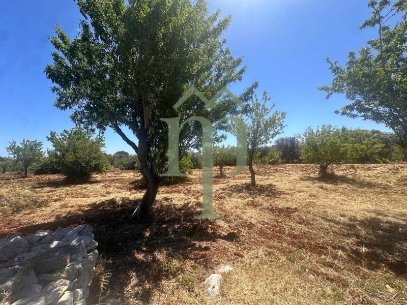Casa Trullo em Carovigno
