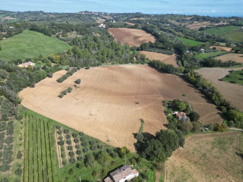 Agricultural land in Carignano