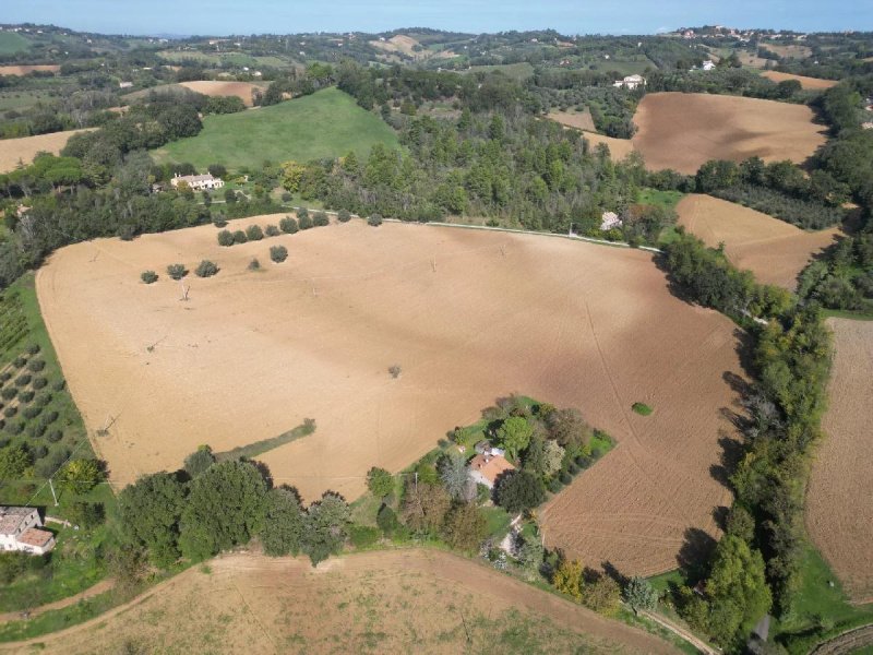 Agricultural land in Carignano