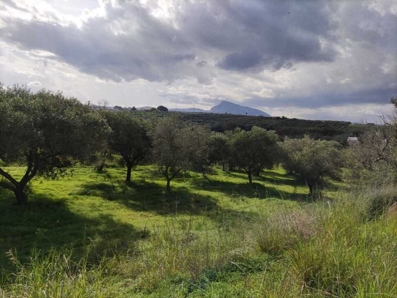 Agricultural land in Partinico