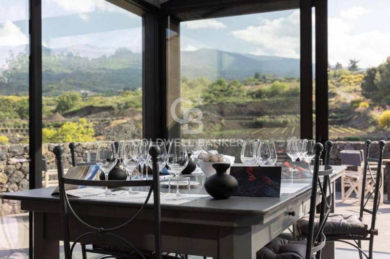 西西里堡农业公司