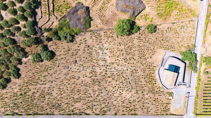 Lantgård i Castiglione di Sicilia