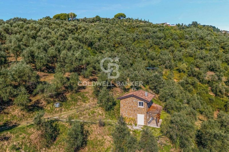 Сельскохозяйственный участок в Массароза