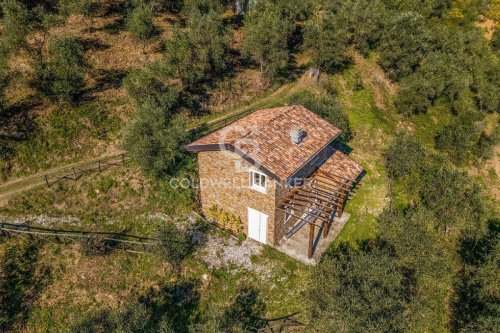 Сельскохозяйственный участок в Массароза