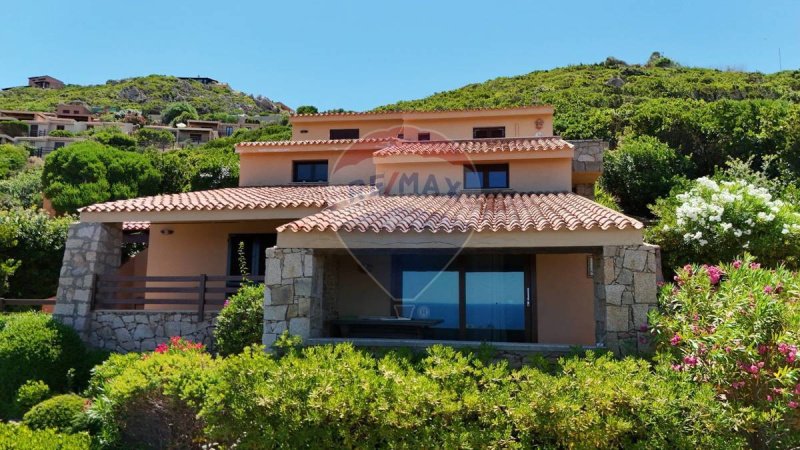 特里尼塔达古尔图和维尼奥拉别墅