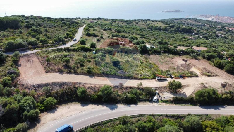 Terreno edificabile a Trinità d'Agultu e Vignola