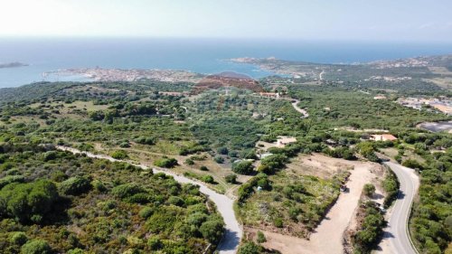 Terreno edificabile a Trinità d'Agultu e Vignola