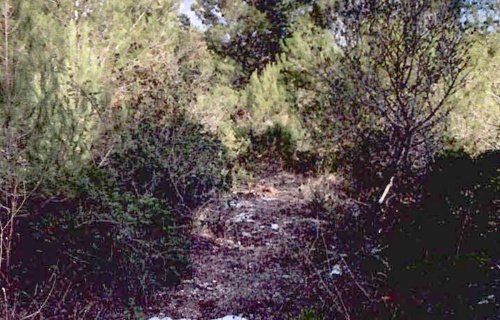 Terreno agricolo a Sassari
