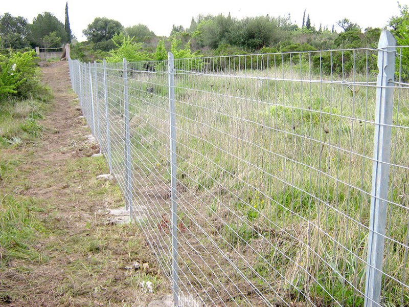 Agricultural land in Pula